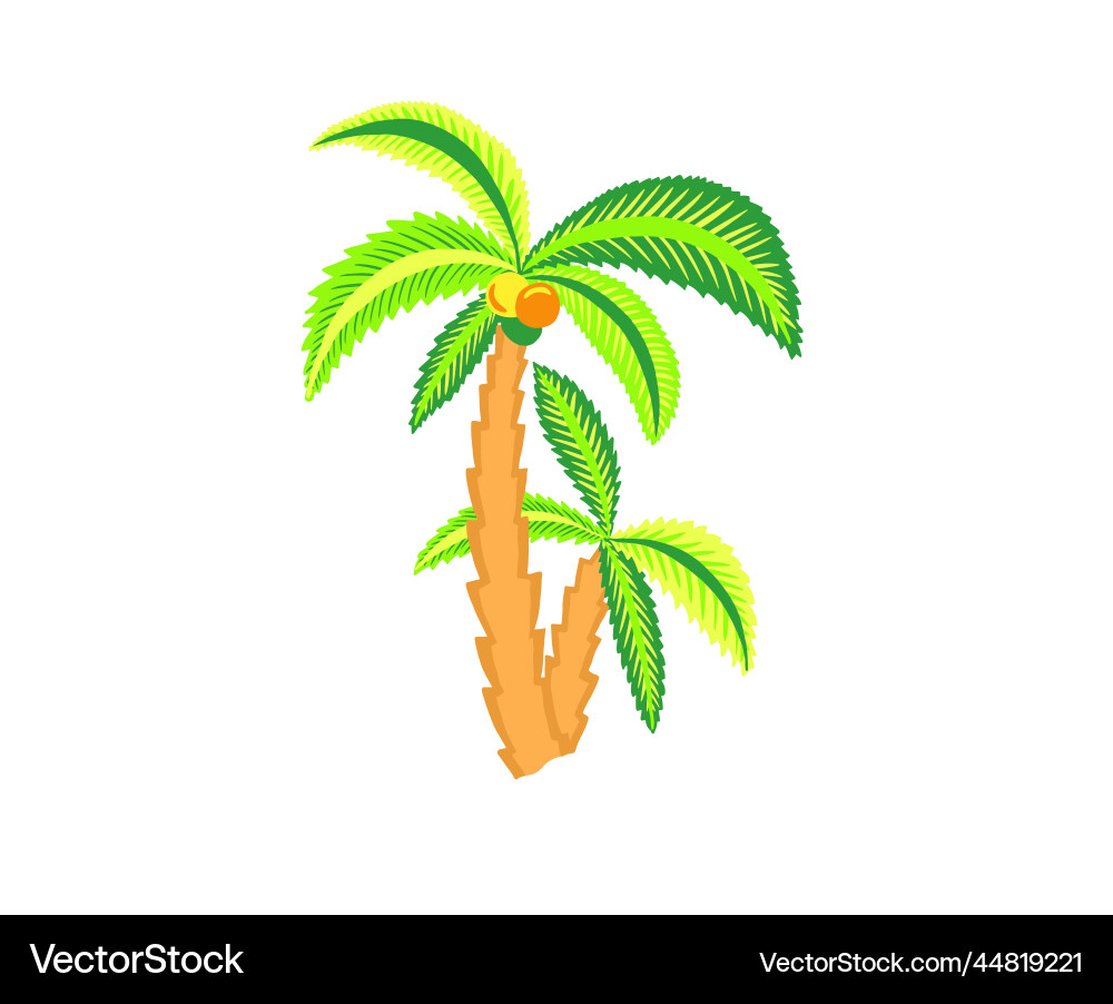 Coconut Palm Tree Royalty Free Vector Image Vectorstock