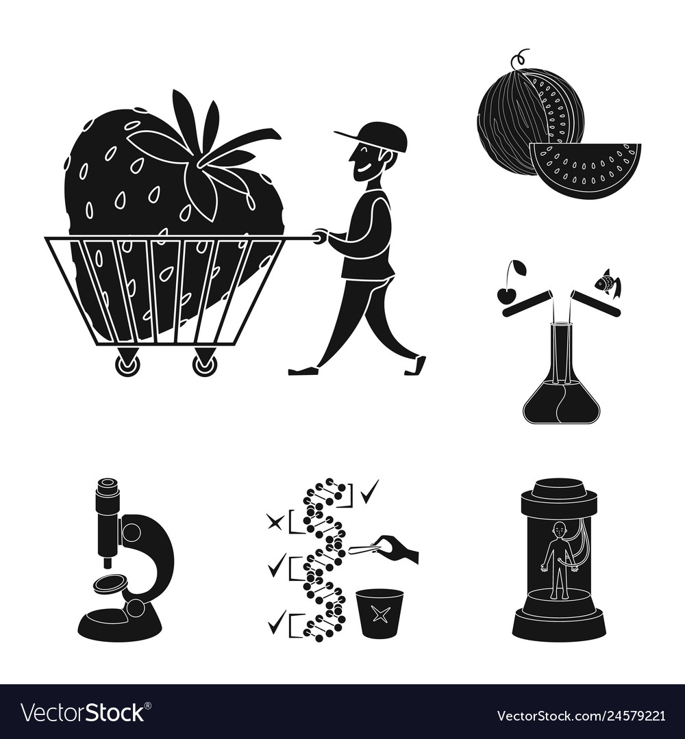 Isolated object of quality and laboratory sign vector image Isolated object of quality and laboratory sign