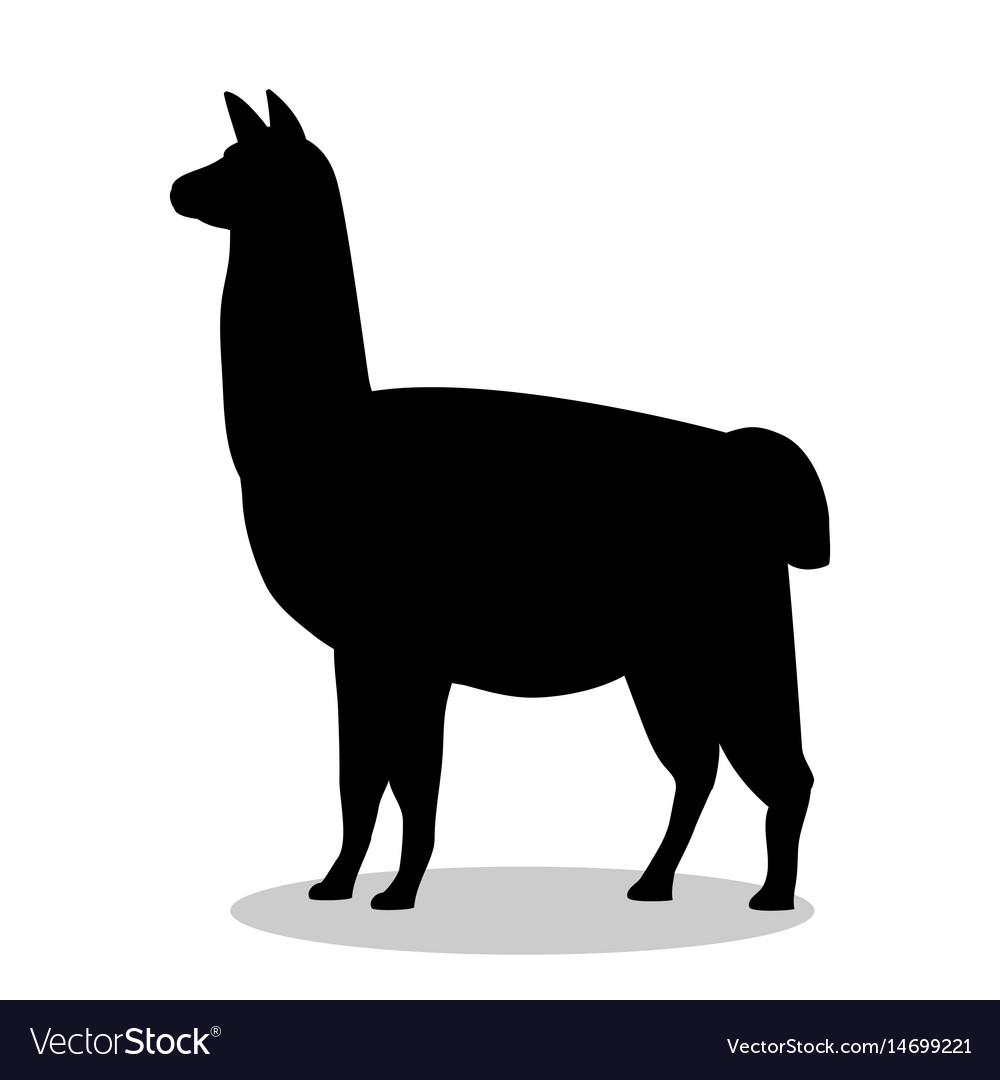 Lama mammal black silhouette animal 