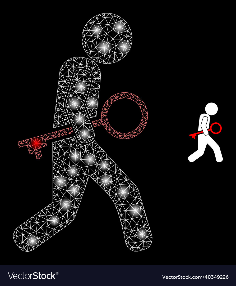 Mesh web key thief with glare network vector image Mesh web key thief with glare network