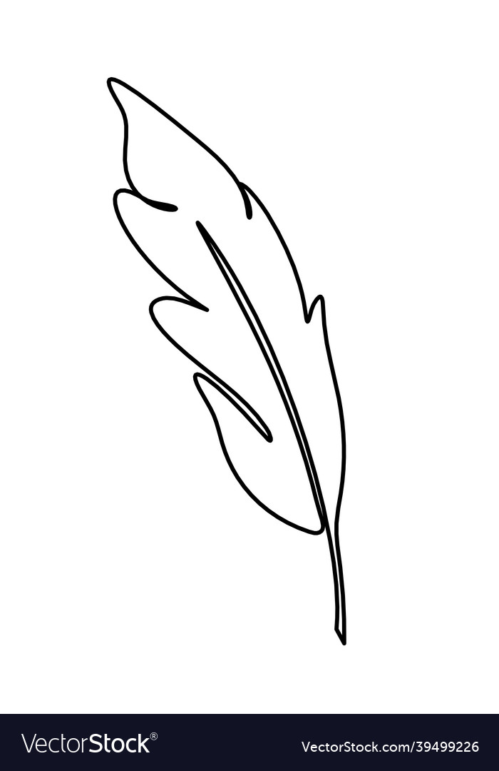 Silhouette of abstract feather as line drawing