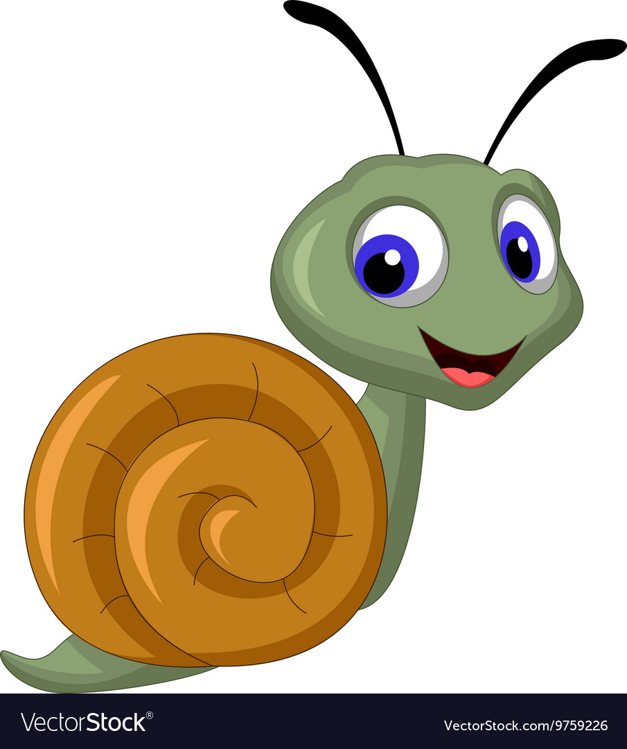 Snail cartoon Royalty Free Vector Image - VectorStock