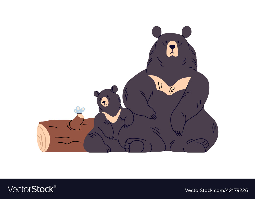 Sun bears family mother and baby tropical wild vector image Sun bears family mother and baby tropical wild