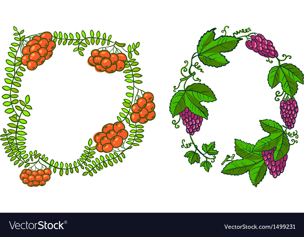 Rowan and grape