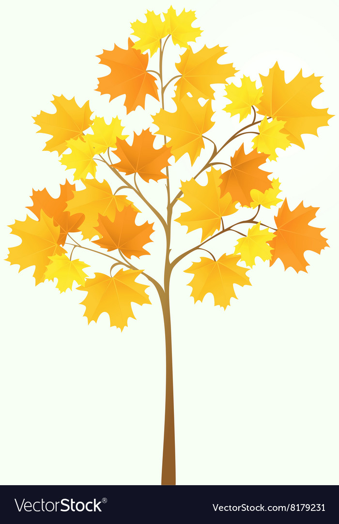 Tree Royalty Free Vector Image - VectorStock