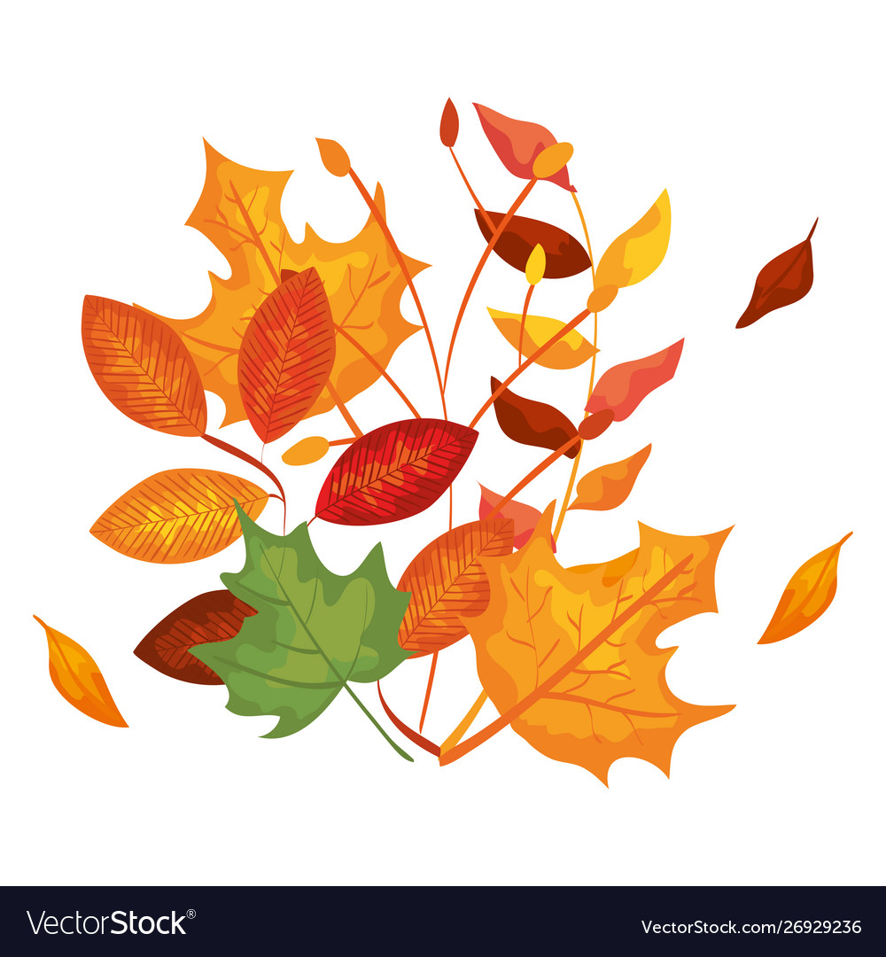 Autumn branch and dry maple leafs decoration