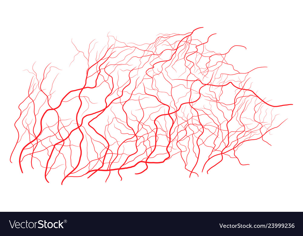 Eye vein symbol icon design beautiful isolated