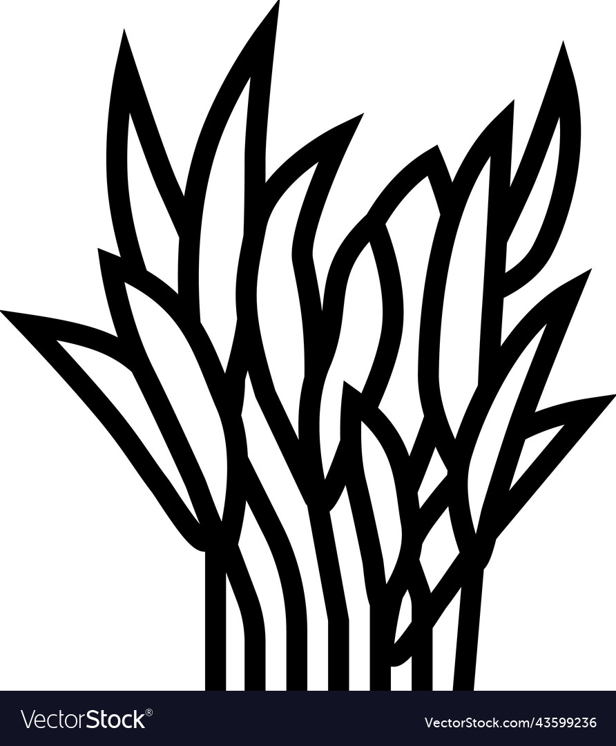 Java fern line icon