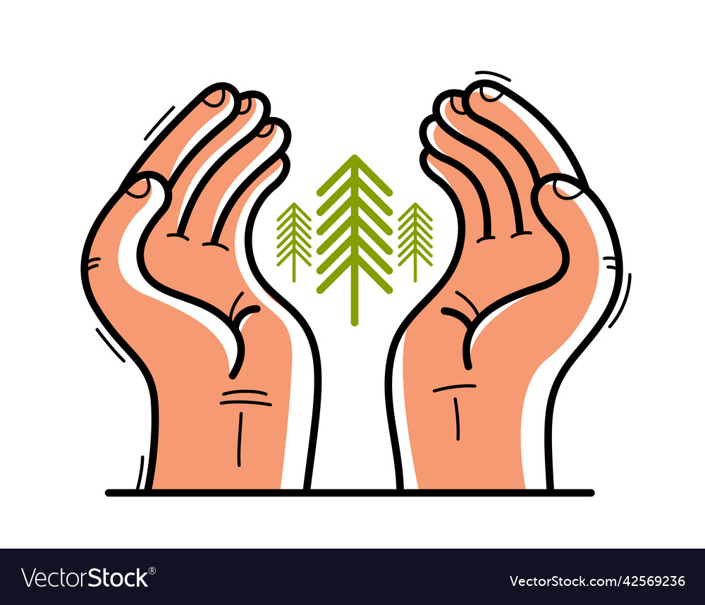 Two hands with pine trees protecting and showing vector image Two hands with pine trees protecting and showing