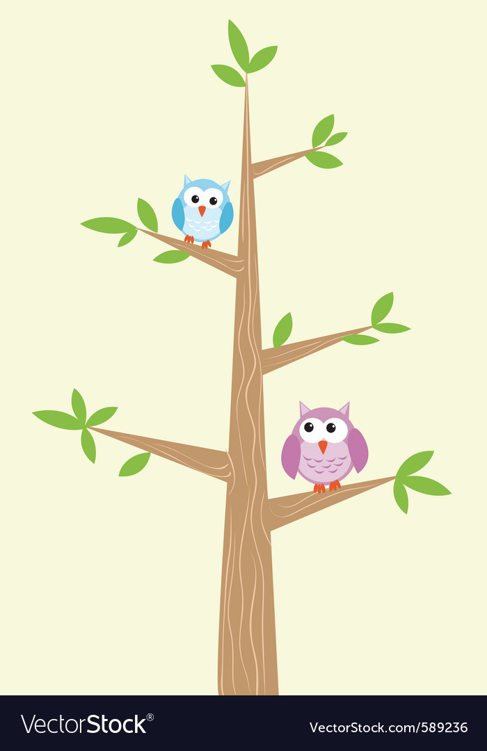 Two owls on the tree