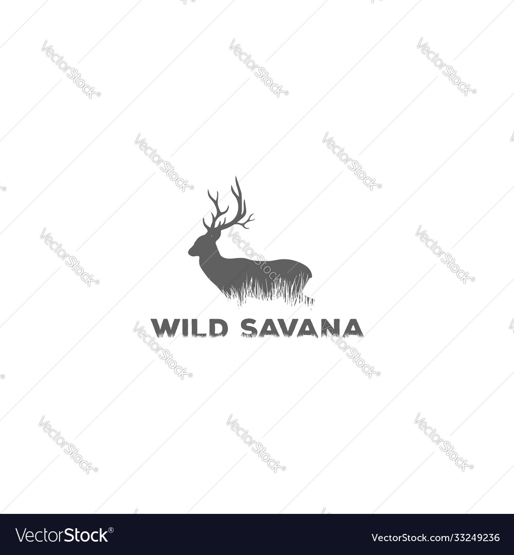 Wild safari deer antler grassland savanna