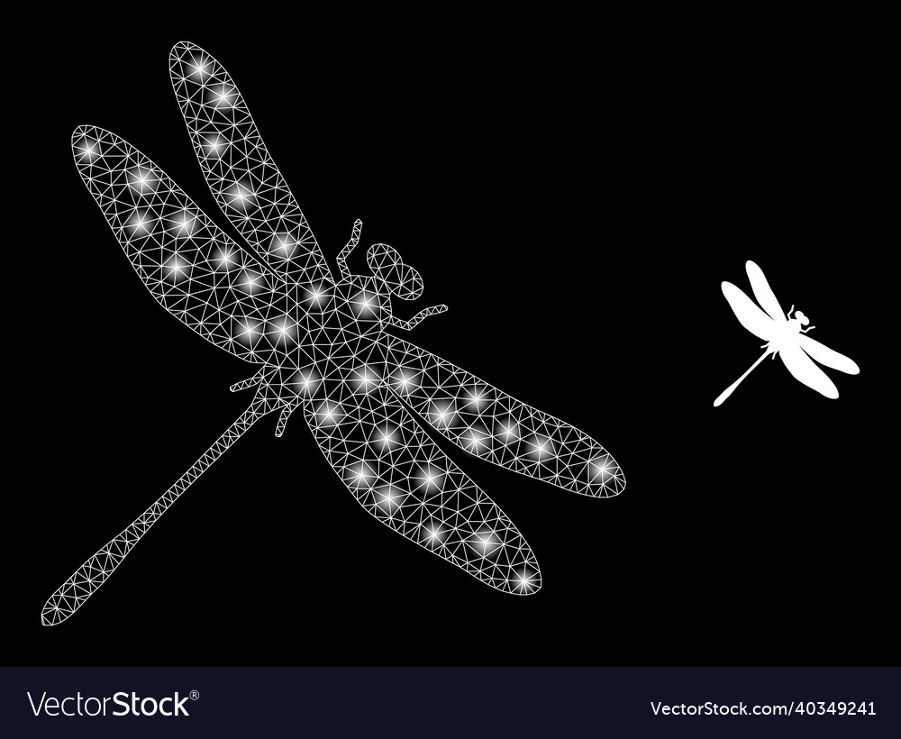 Mesh web dragonfly with glare network stars vector image Mesh web dragonfly with glare network stars