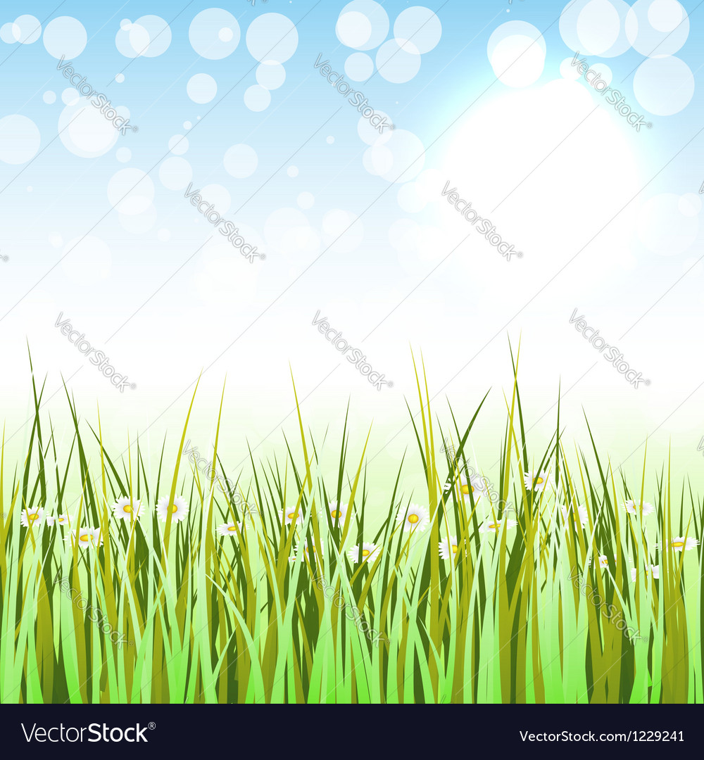 Spring background