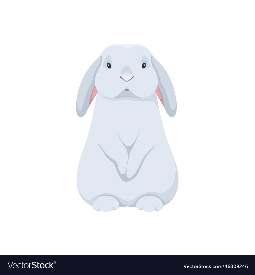 Cute gray rabbit Royalty Free Vector Image - VectorStock