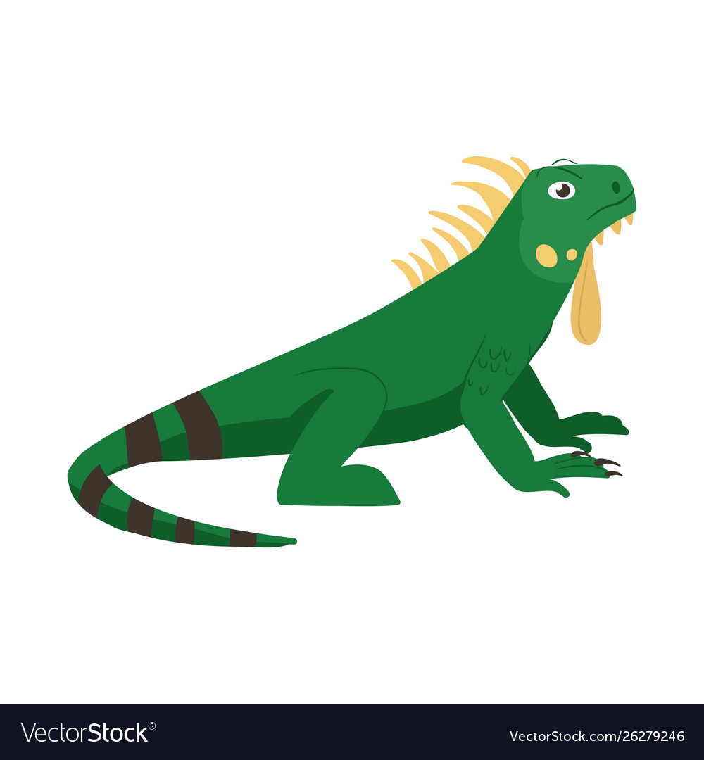 Isolated object iguana and lizard icon set