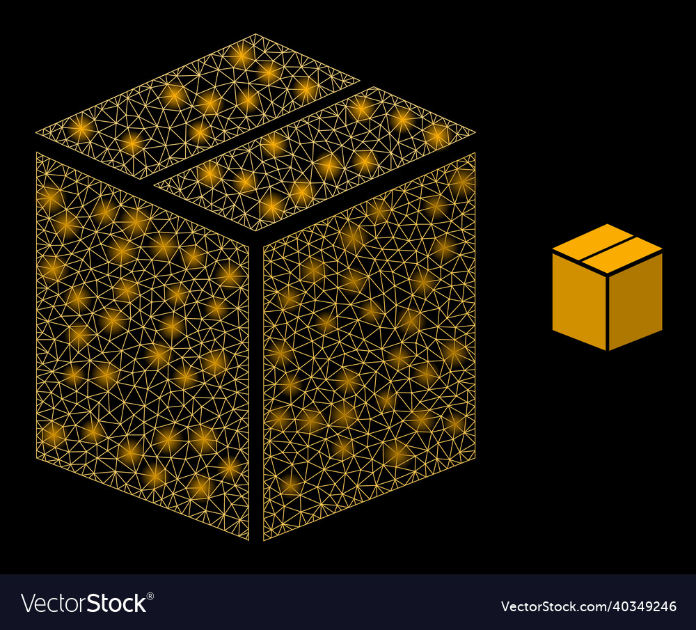 Mesh net closed carton box with shiny vector image Mesh net closed carton box with shiny
