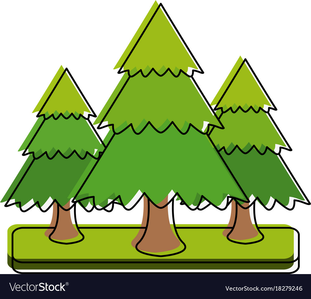 Pine tree icon image