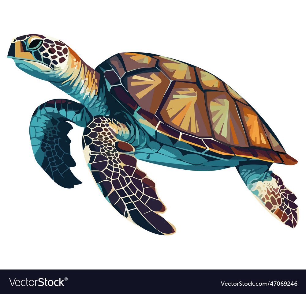 Slow Aquatic Reptile With Colored Shell Swimming Vector Image