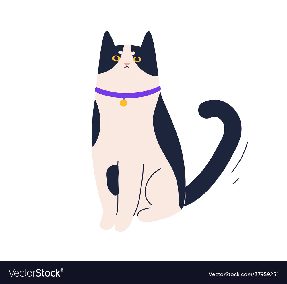 Angry cat face Royalty Free Vector Image - VectorStock