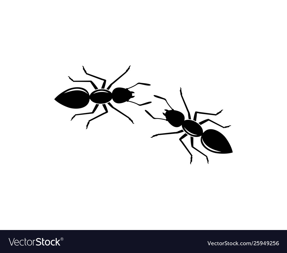 Ant logo icon design