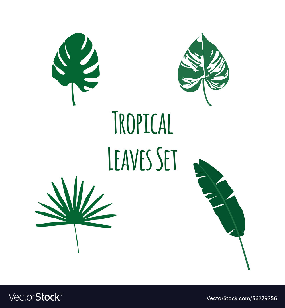 Tropical leaves set collection exotic plants