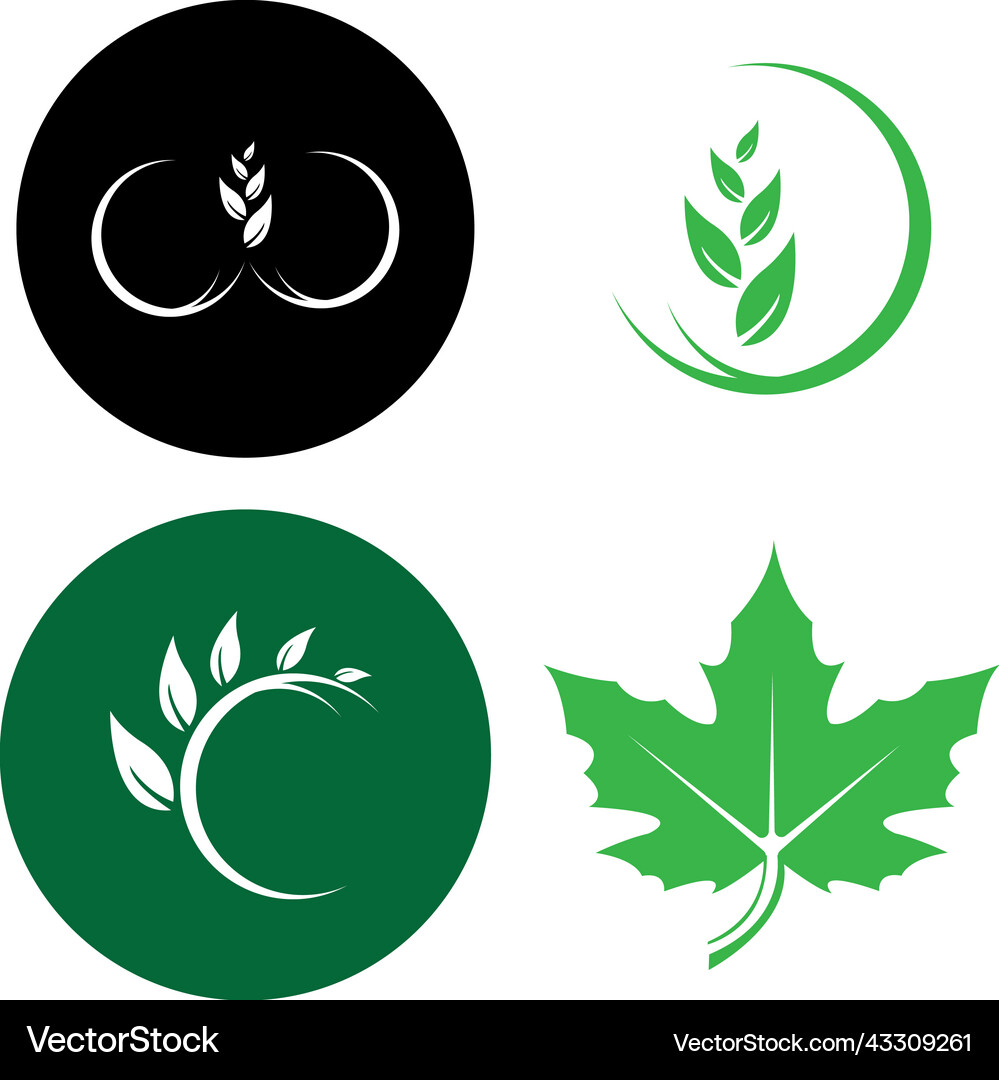 Leaf logo Royalty Free Vector Image - VectorStock