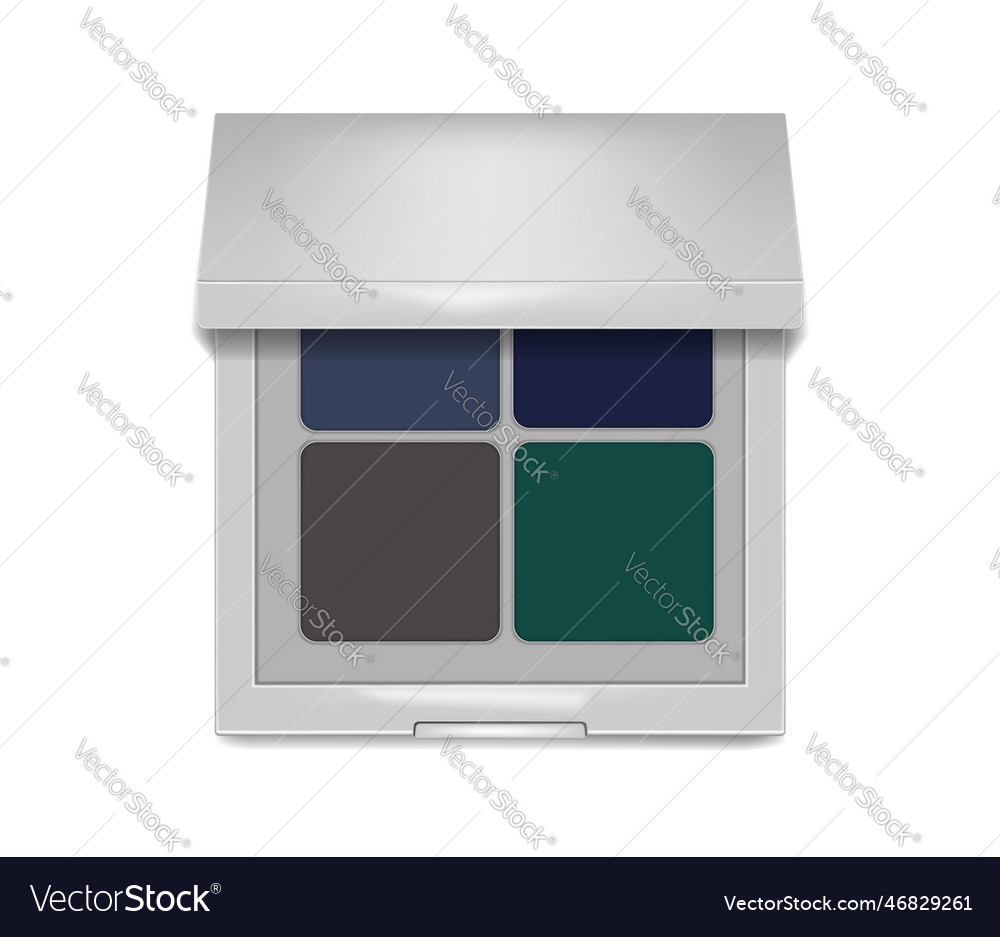 Make-up eyeshadow palette realistic open color
