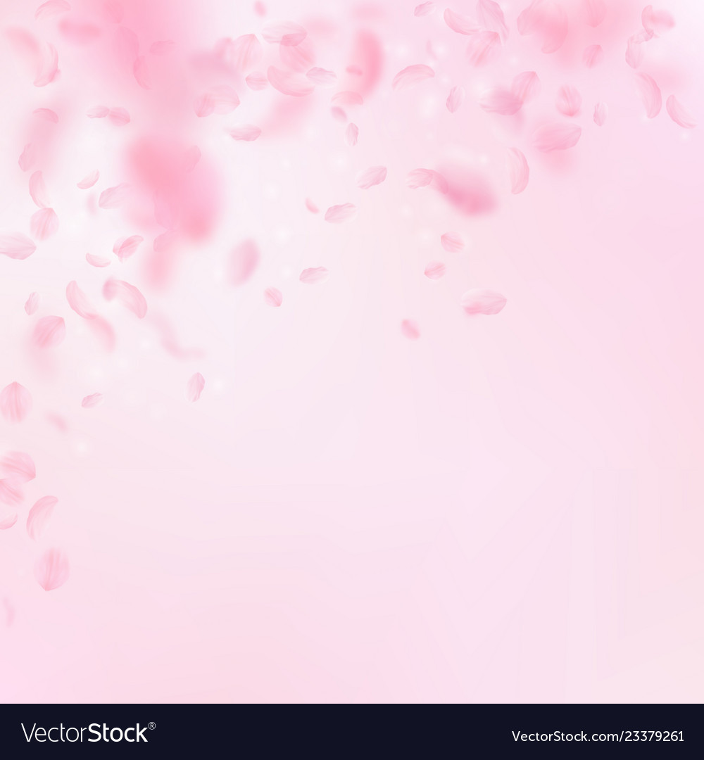 Sakura Blüten fallen romantische rosa Blumen vector image Sakura Blüten fallen romantische rosa Blumen
