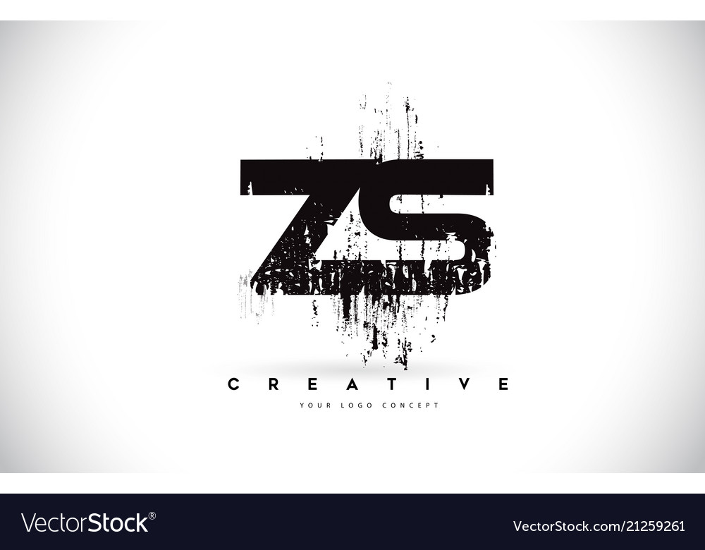 Zs z s grunge brush letter logo design in black Vector Image