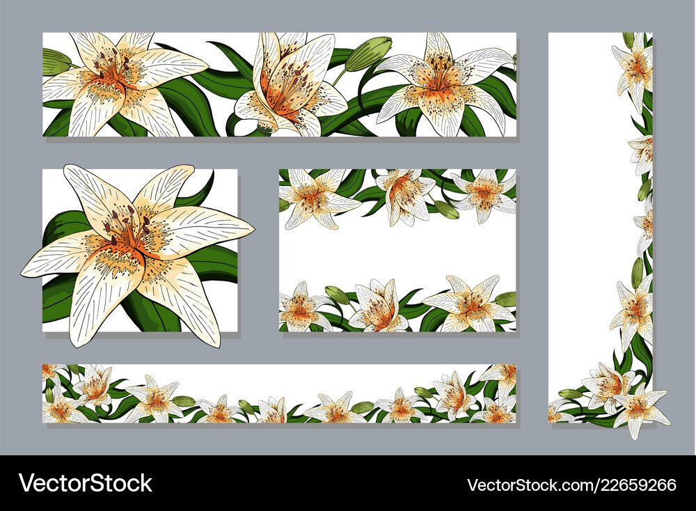 Banners Set Elegant Lily Tiger Type Realistic Vector Image
