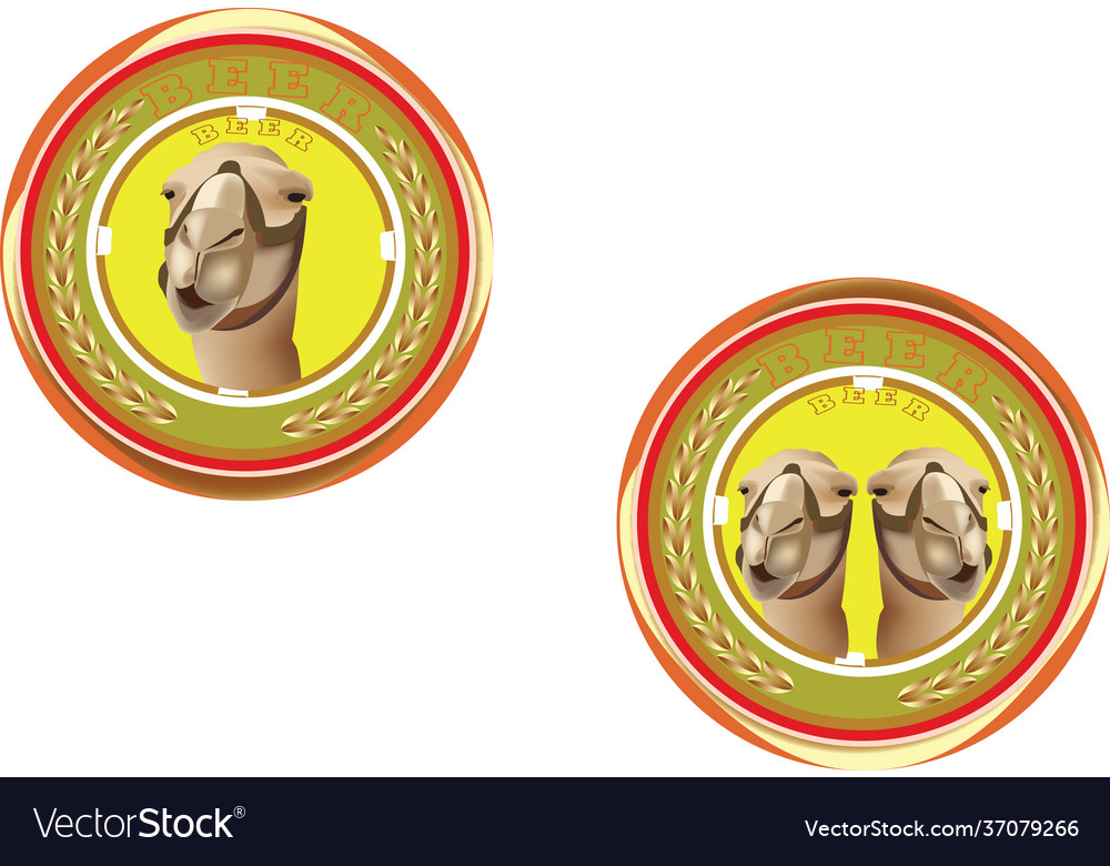 Coaster with camel image