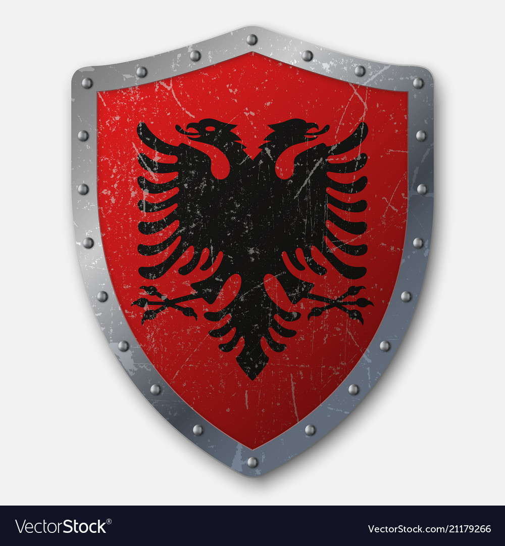 Old shield with flag vector image Old shield with flag