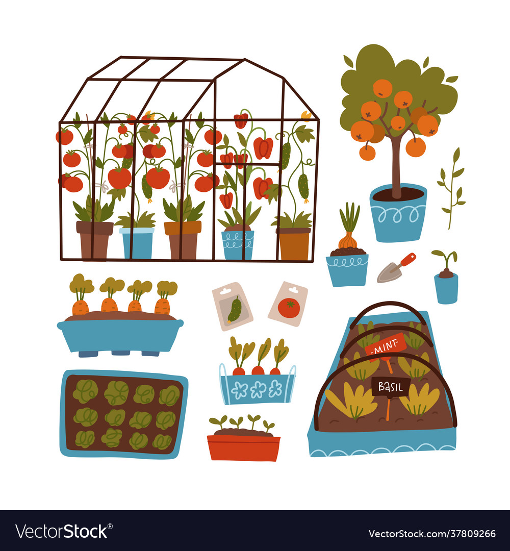 Set plants and scenes - greenhouse beds pots Vector Image