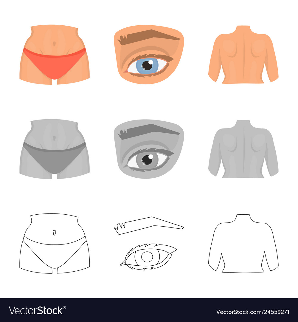 Isolated object of body and part icon set vector image Isolated object of body and part icon set