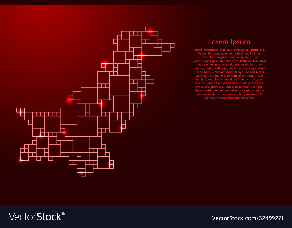Pakistan map from red pattern a grid vector image Pakistan map from red pattern a grid