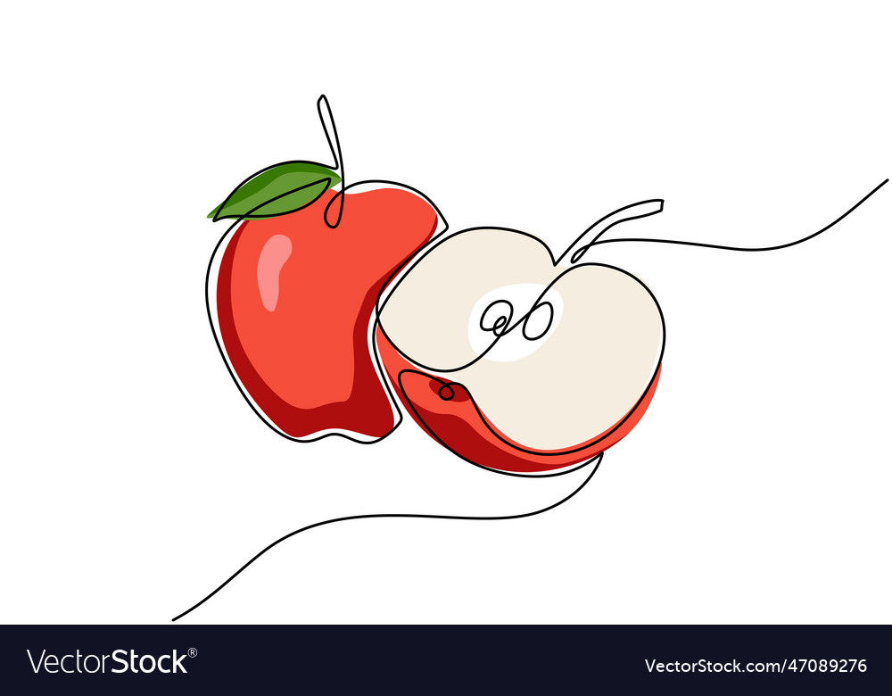 Apple continuous one line drawing fruit