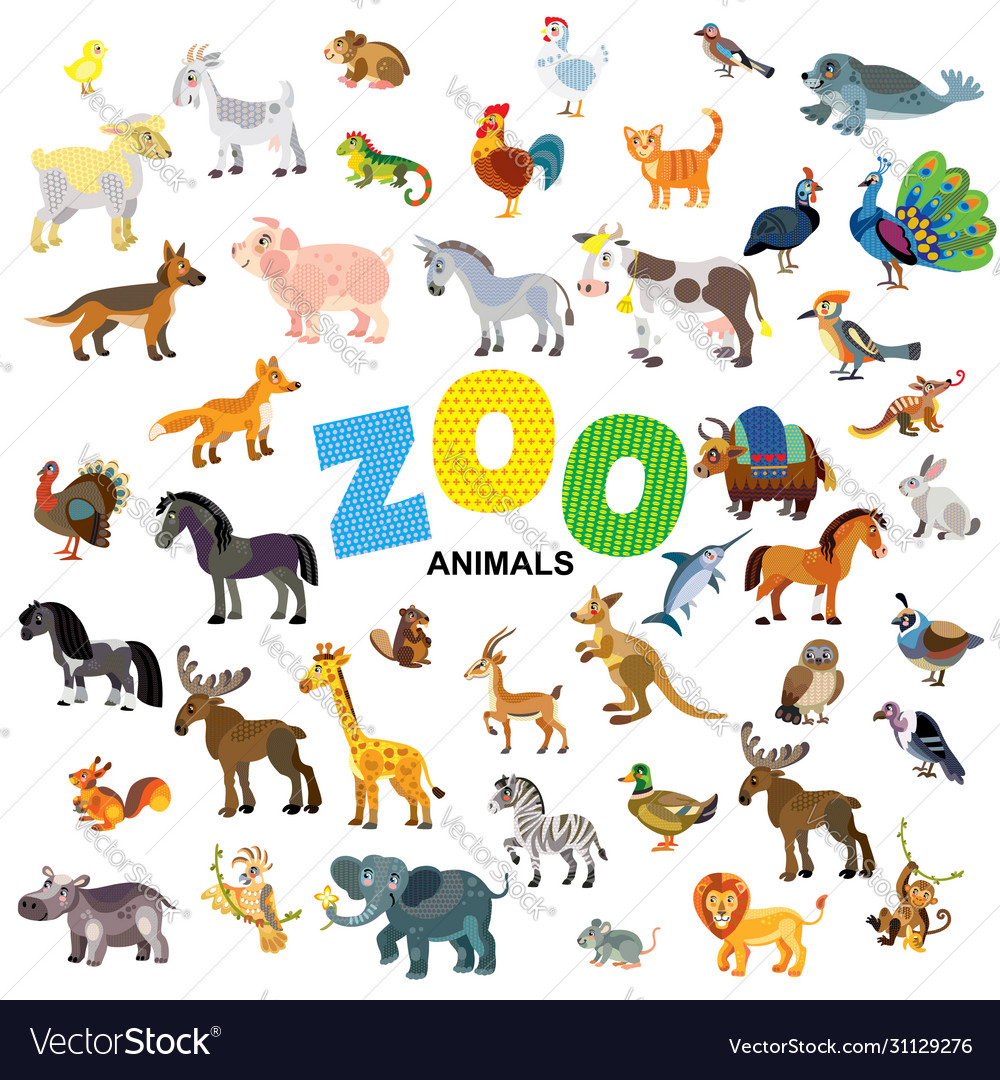 animal zoo set