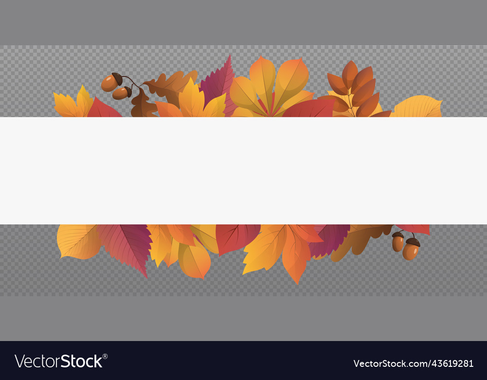 Autumn web template transparent background vector image Autumn web template transparent background