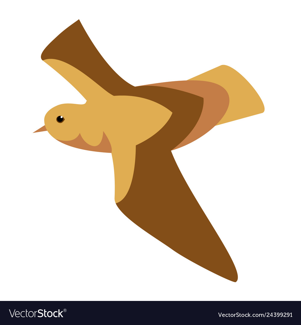 Brown bird flat
