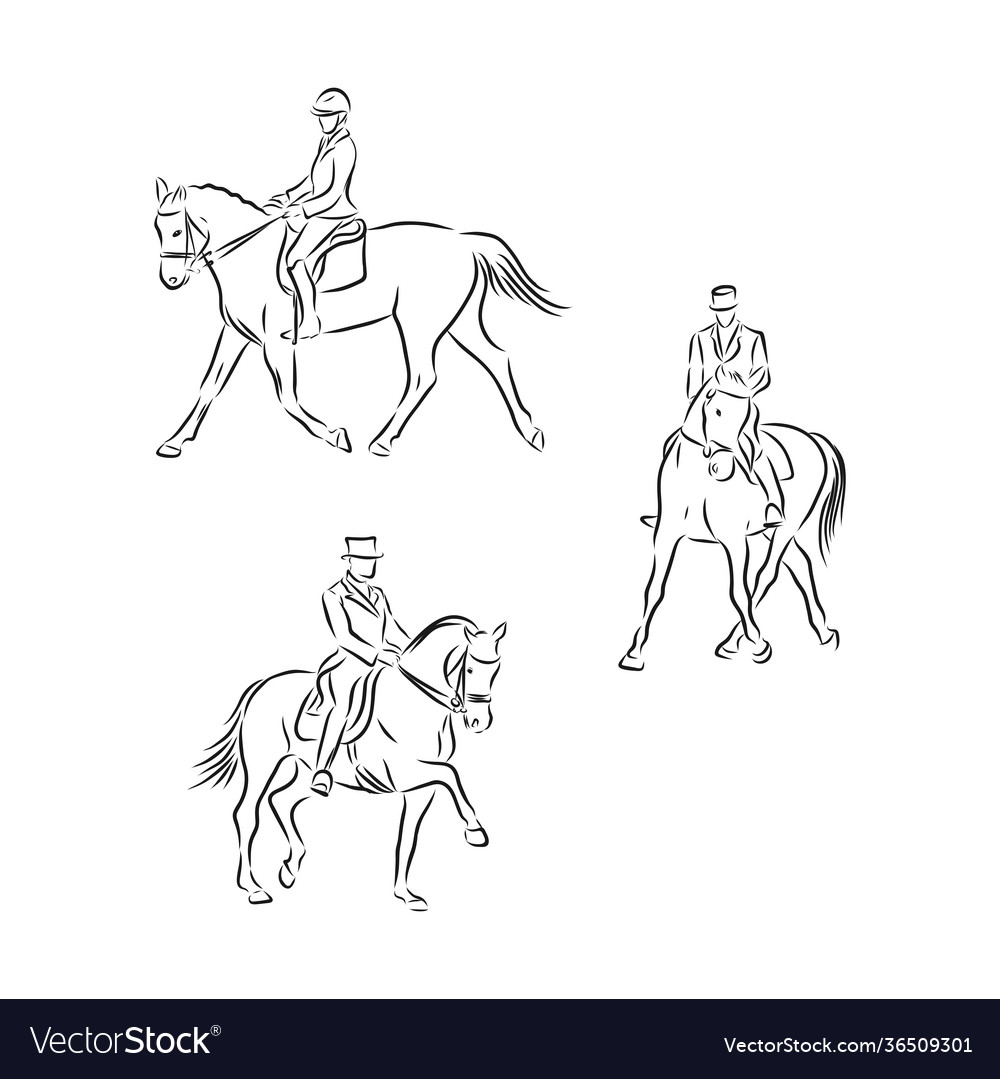 Dressage Horse Sketch - Equestrian Art