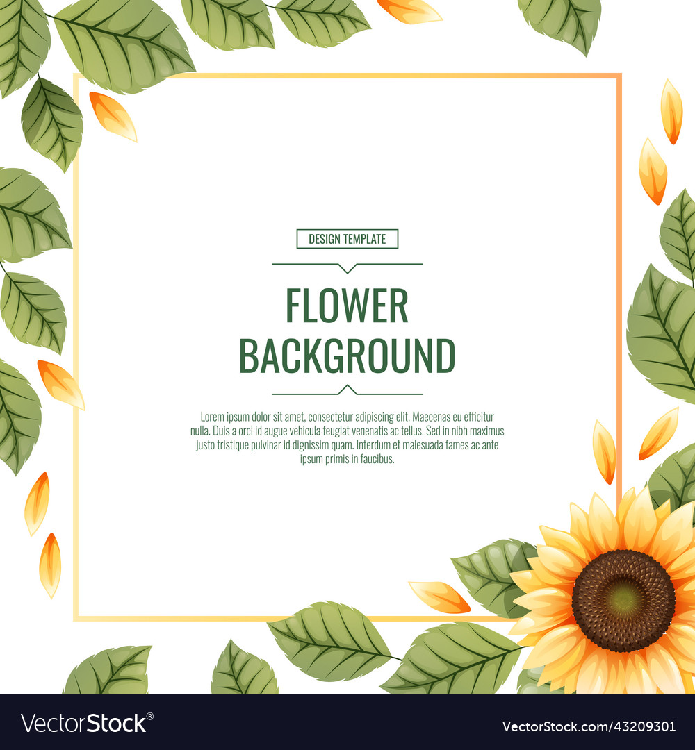 Square background with sunflowers floral frame