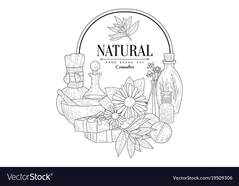 Natural cosmetics vintage sketch Royalty Free Vector Image