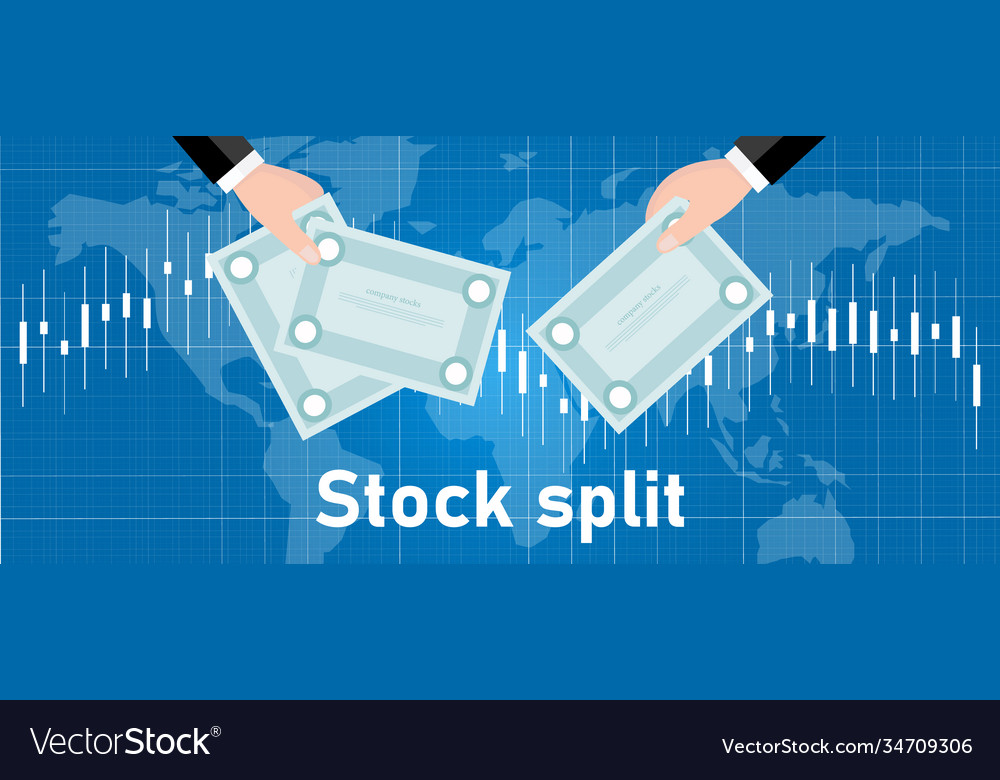 Stock split company do exchange transaction Vector Image