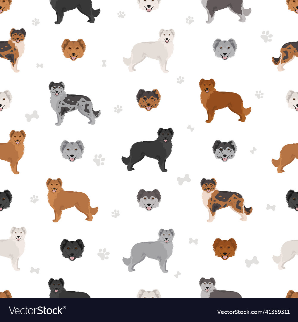 Pyrenean sheepdog smooth faced seamless pattern vector image Pyrenean sheepdog smooth faced seamless pattern