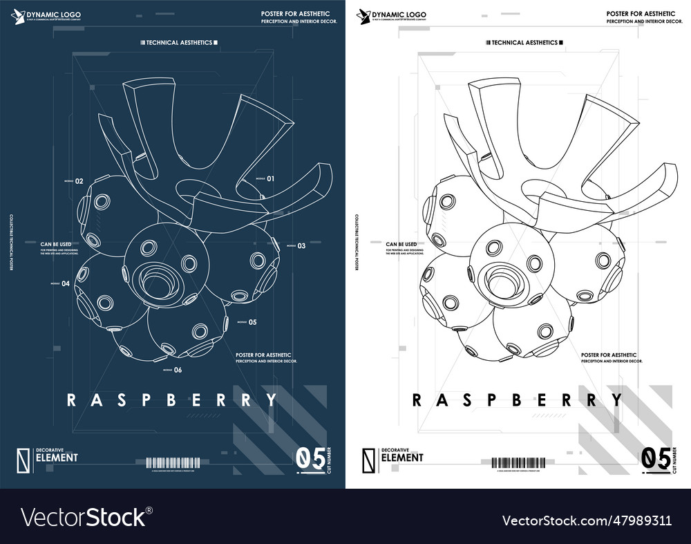 Raspberry in a technical style design