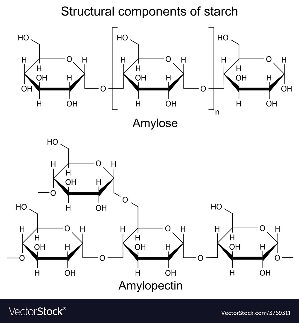 Starch, Definition, Formula, Uses, & Facts