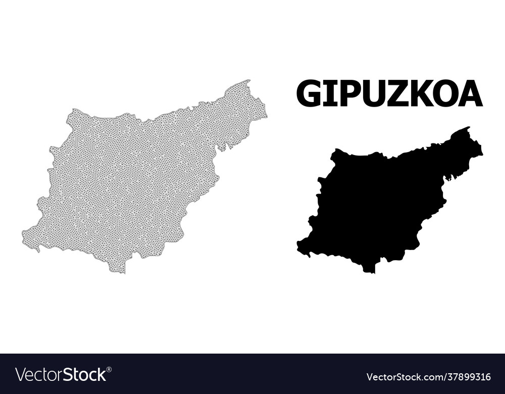 Polygonal network mesh high resolution map