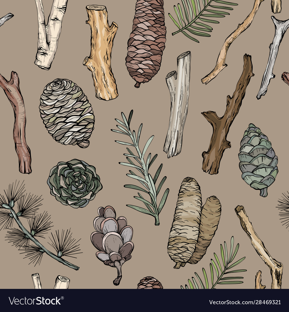 Coniferous Branches & Pine Cones Pattern