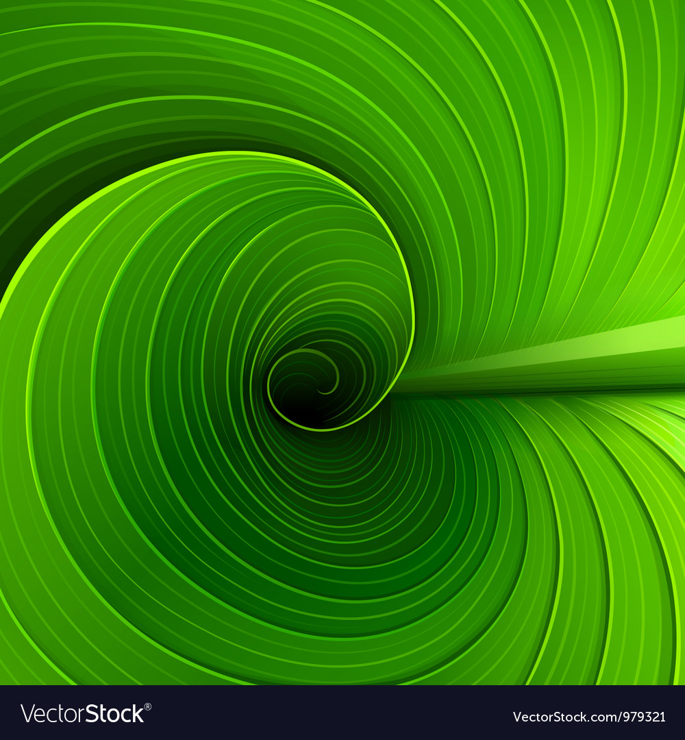 Green leaf Royalty Free Vector Image - VectorStock