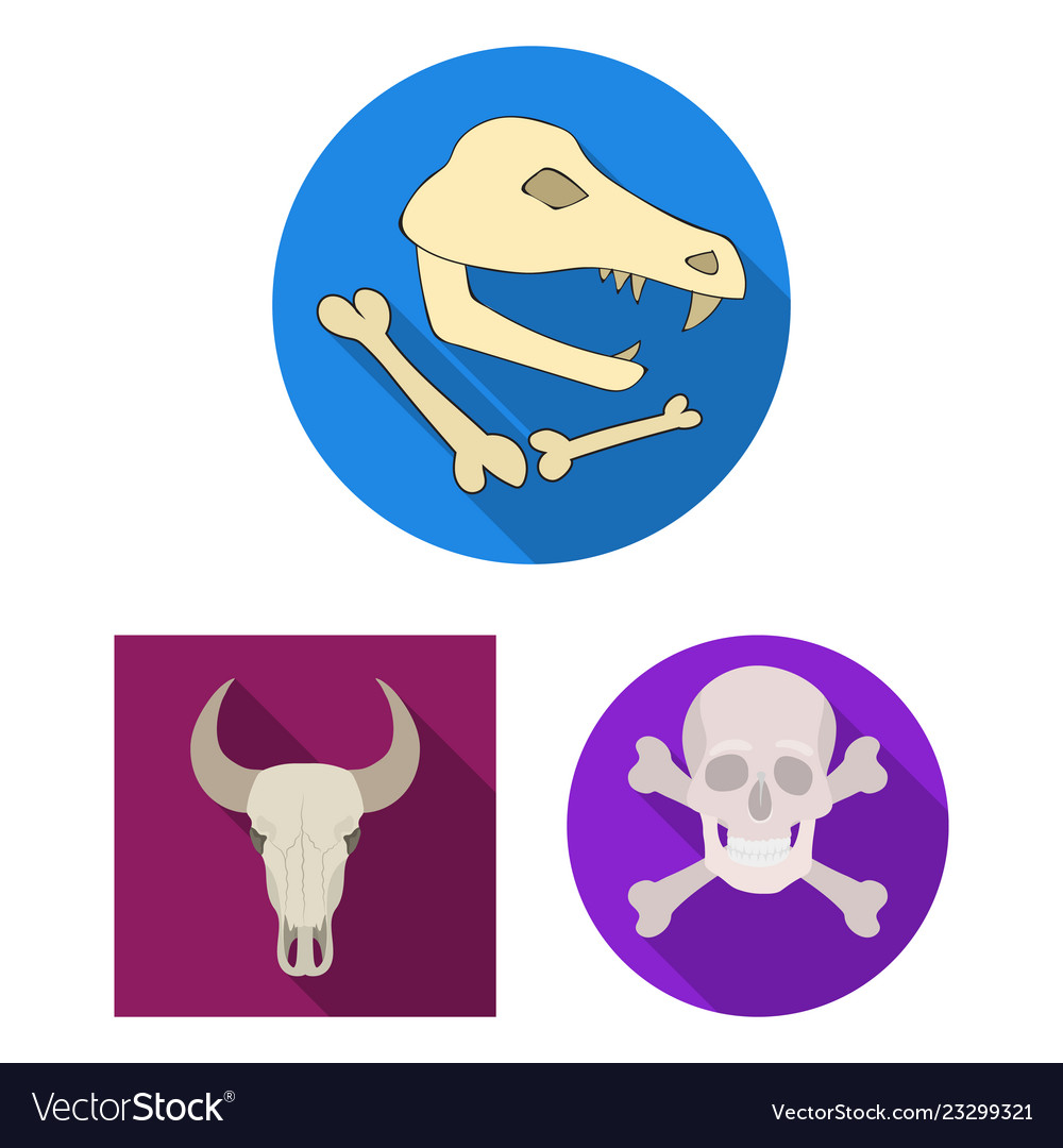 Isolated object of skeleton and character sign
